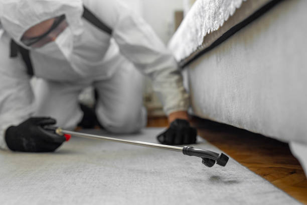 Professional Pest Control technician working in Elmwood Place, OH