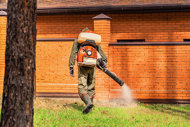 Trusted Bed Bug Control service in Elmwood Place, OH - Nex Pest Control